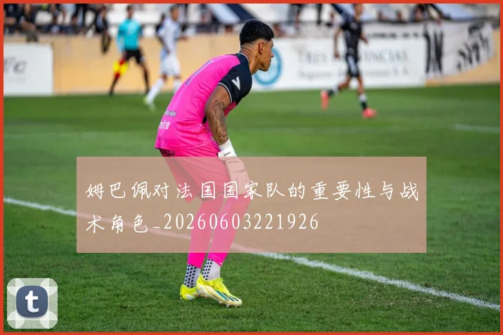 姆巴佩对法国国家队的重要性与战术角色_20260603221926